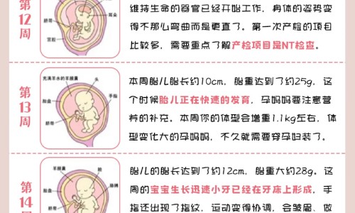 用生姜擦痘痘有什么效果网 :分享用生姜擦头皮-生姜抹痘痘管用吗知识